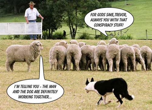 man-dog-conspiracy-sheepdog.jpg